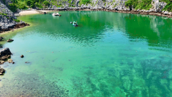 风景.gif